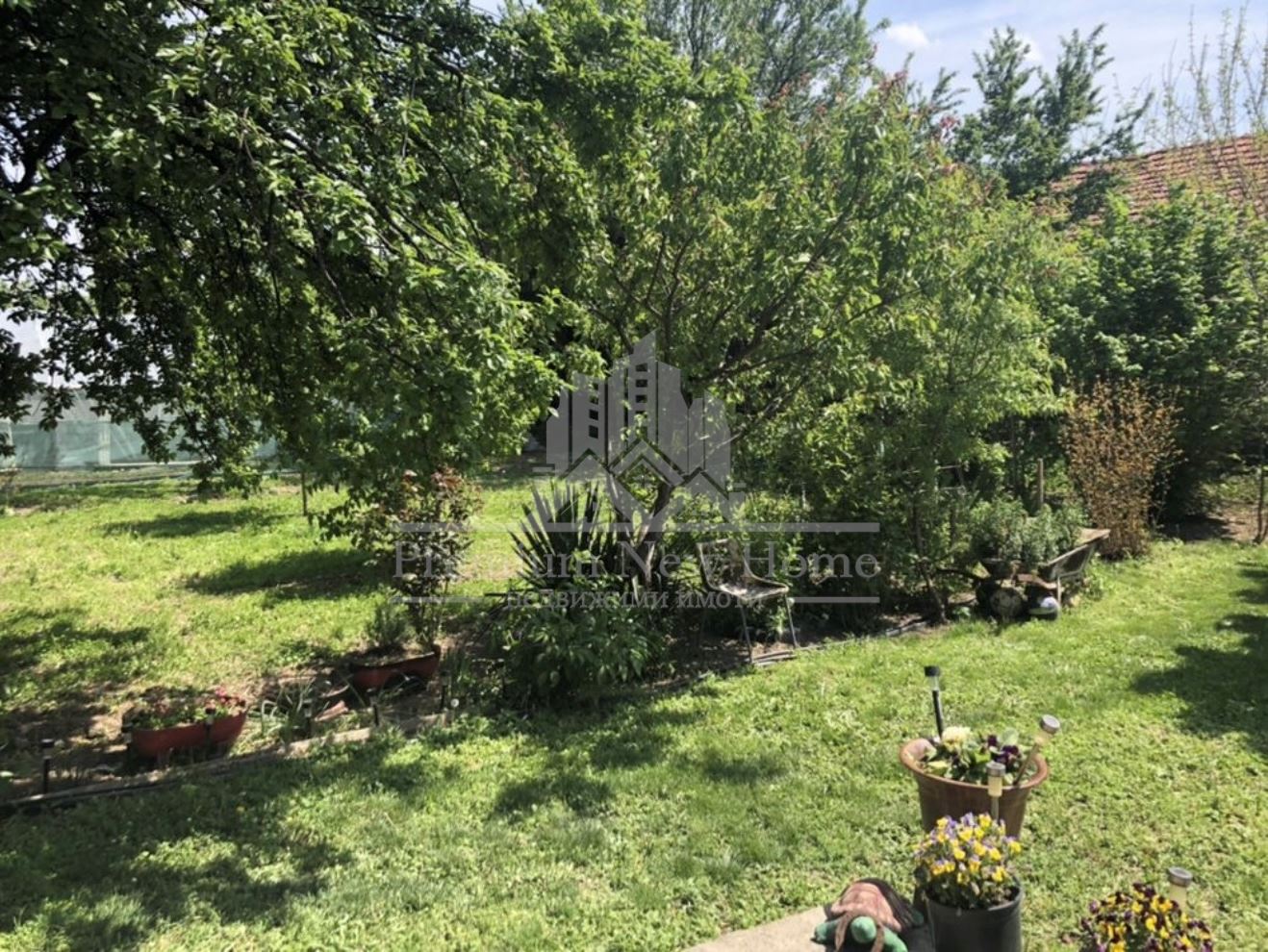 Парцел – Пазарджик, област, с.Хаджиево-0 Парцел - Пазарджик, област, с.Хаджиево - 0