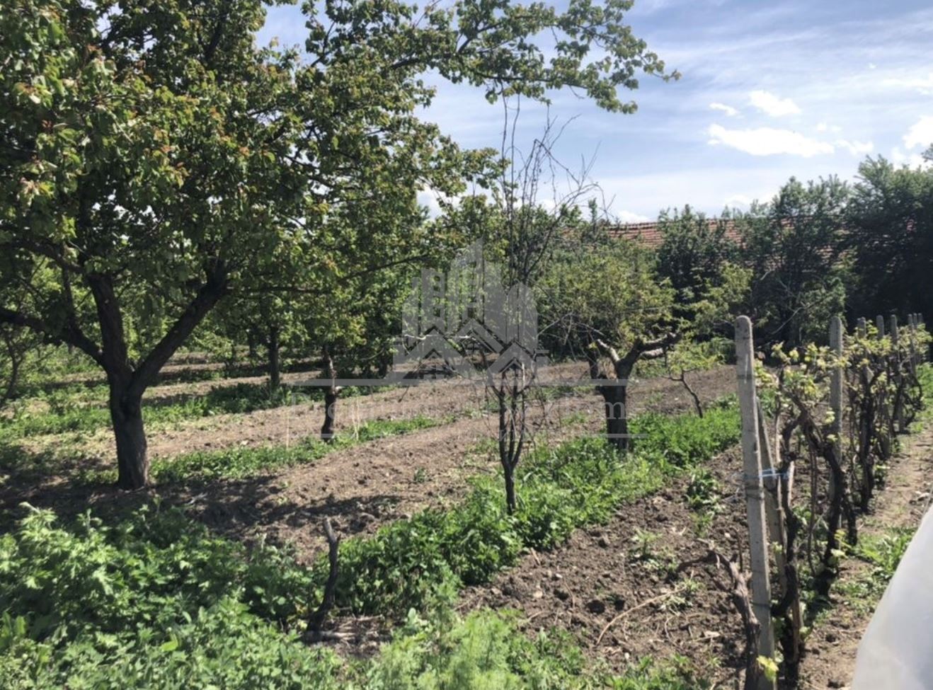 Парцел – Пазарджик, област, с.Хаджиево-0 Парцел - Пазарджик, област, с.Хаджиево - 0